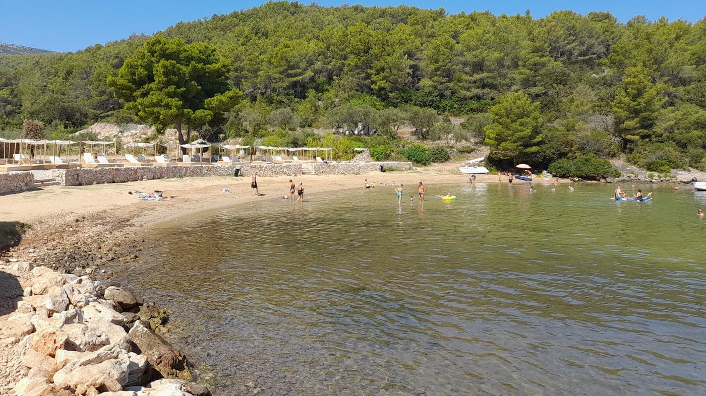 Maslinica Bay in Stari Grad — sand, pines and a stone terrace above the water